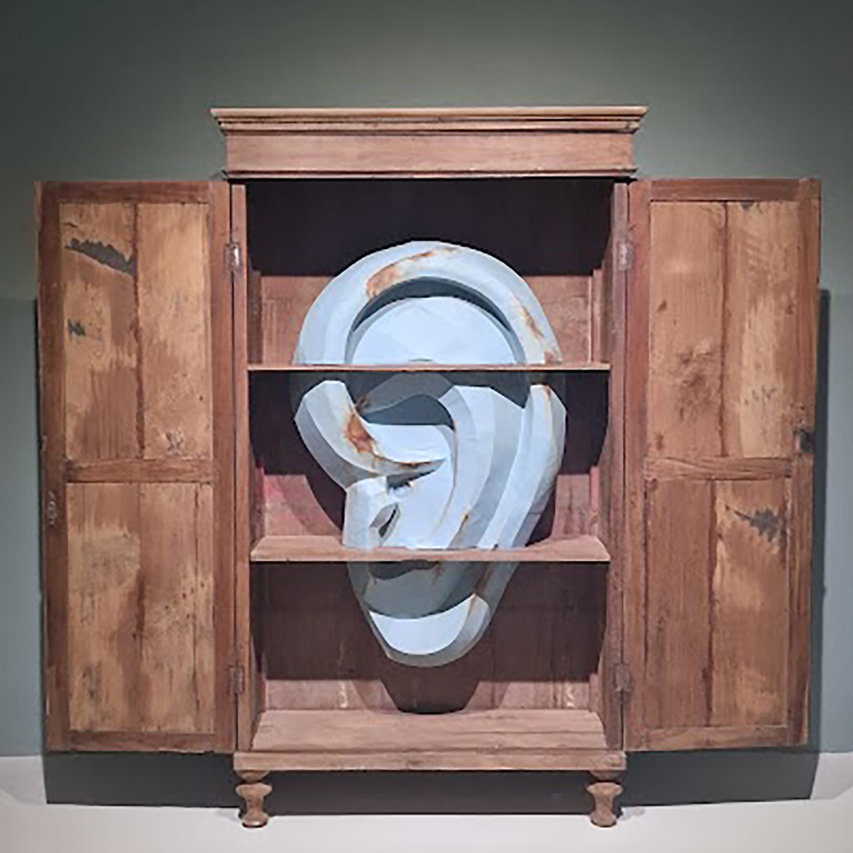 A large ear inside a cabinet